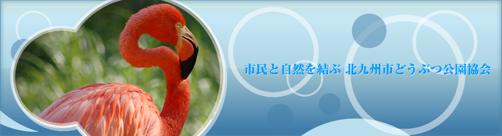 市民と自然を結ぶ　北九州市動物公園協会